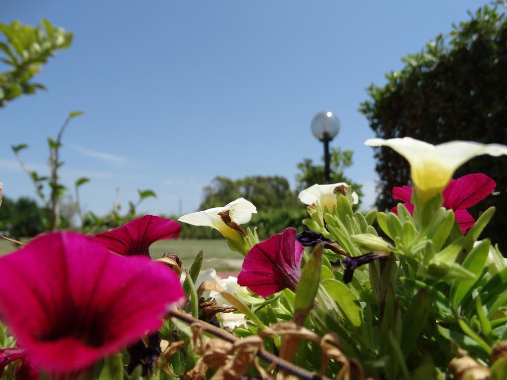Bed and Breakfast Il Pagio Alghero Esterno foto